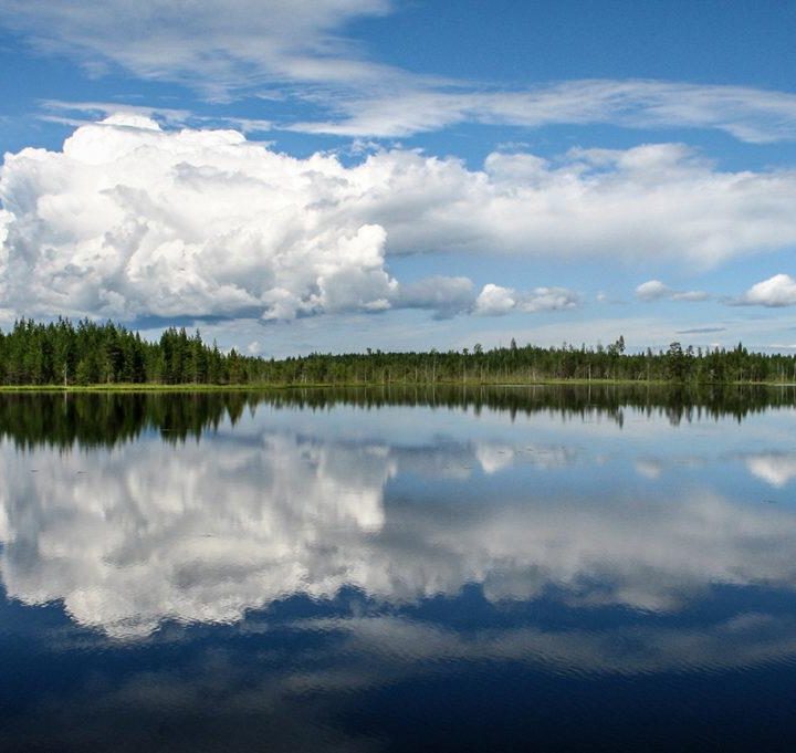 Finnish summer at a sunny lake