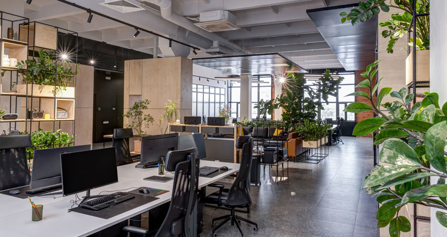 modern office with plants