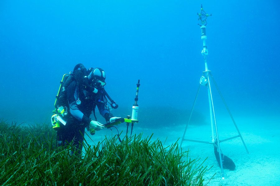 Diver using underwater tablet device for research