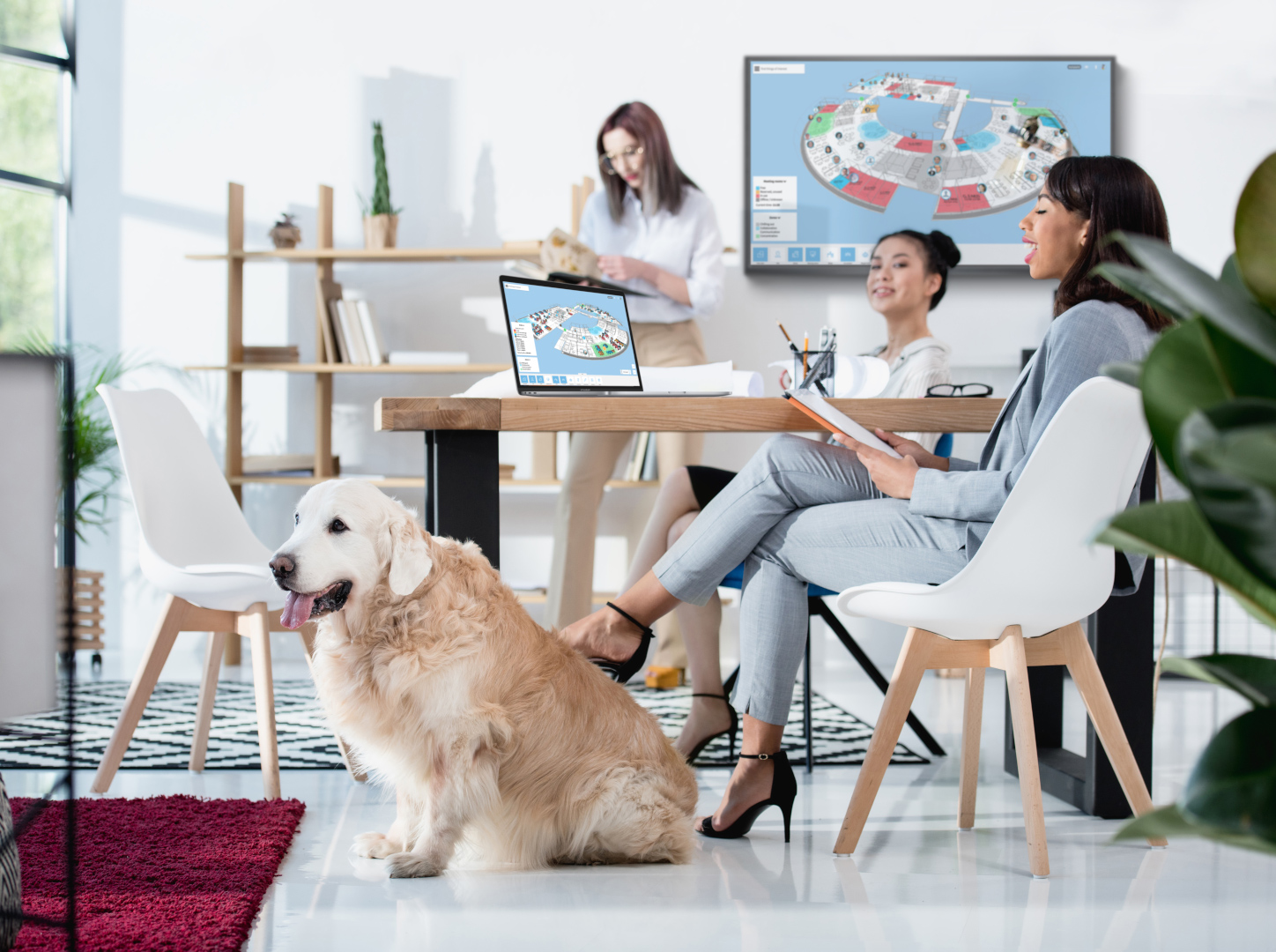 Empathic Building used in a desk sharing office. 